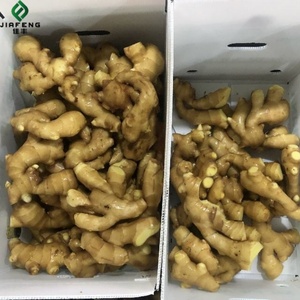 Hot bán gừng tươi bán buôn gừng tươi Chứng Khoán số lượng lớn - Product Image 3