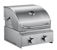 Le barbecue au gaz portable ultime en acier inoxydable 430 intégré pour la cuisson et les réceptions en plein air