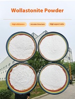 Forsman 1250 Fibre de Wollastonite Aciculaire en Maille, Revêtement de Peinture Ignifuge Premium, Micropoudre de Silice 99,9% SiO2 pour l'Industrie du Verre