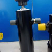 Mini tombereau sur chenilles autochargeur hydraulique 15 CV 800 kg homologué CE pour le transport de ciment et de béton dans les mines, avec vérin hydraulique OEM ODM