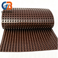 Planche de drainage rainurée en HDPE marron - un produit géotechnique en plastique, utilisé pour le drainage et le stockage de l'eau, avec épaisseur personnalisable