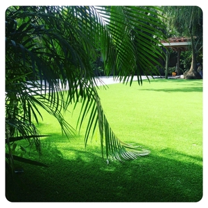 Sport pavimentazioni Green <span class=keywords><strong>Court</strong></span> <span class=keywords><strong>Equi</strong></span> tappeto prato erba artificiale rotoli - Product Image 1
