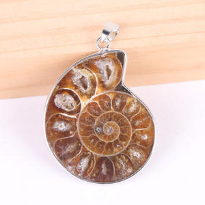 Gemas DIY, Cristal de Cuarzo Fósil de <span class=keywords><strong>Caracol</strong></span> <span class=keywords><strong>Brasileño</strong></span> Natural en Bruto, Colgante de Cristal Aguamarina - Product Image 5