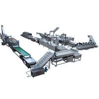 Automatische Verse Vruchtensap Verwerking Lijn/Sap Productielijn/Sap Making Machine
