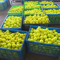 Balles de tennis personnalisées, durables, écologiques, portables, à haute élasticité et avec impression de logo pour les clubs de tennis sportifs (vente en gros)