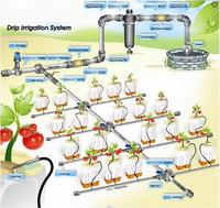 Agriculture 1-10 hectare conception d'irrigation goutte à goutte Kit complet systèmes d'irrigation goutte à goutte automatique pour la ferme