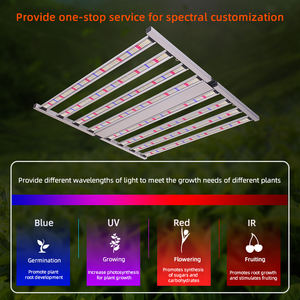 Đèn <span class=keywords><strong>LED</strong></span> trồng cây toàn phổ 800W ANDY Hydroponic Veg & Bloom Flower Stages, dải đèn 4x4ft, sử dụng chip LM301H EVO LM281B - Product Image 3