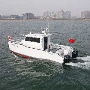 Dapat Disesuaikan 32,5 Kaki Paduan Aluminium Catamaran Perahu Mewah/Kapal Pesiar Kerja Murah