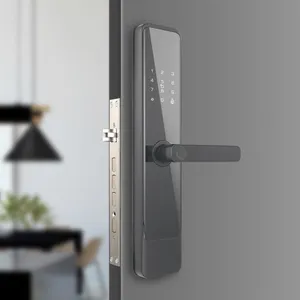 Tastiera con Password senza chiave Smart Lock per porta anteriore con impronta digitale pannello senza chiave 6068 mortasa porta d'ingresso serratura