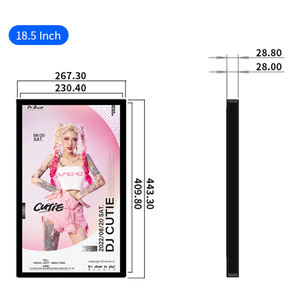 Pantalla Digital Publicitaria LCD Inteligente de 18.5 Pulgadas, Montada en Pared, 350 Nits, Bluetooth, Precio de Fábrica SKD, para Comercios - Product Image 6