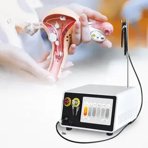 Diode 980nm 1470nm Gesundheitsversorgung Gynäkologie Vaginanausziehmaschine Lasertherapievorrichtung