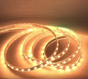 Luzes de tira LED SMD 5050 Snake Lucse Flexível à prova d'água Luzes de tira LED 5 10 Metros Smart RGB Colorido
