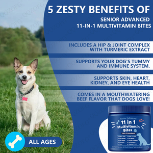 Friandises à mâcher molles multivitaminées personnalisées pour chiens, favorisant la santé des os, des articulations, du cœur, du système cardiovasculaire et de la peau. - Product Image 3