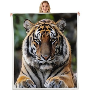 Assorted Print Cosmic Flannel <b>Blanket</b> Throw <b>Blanket</b> Nap <b>Blanket</b> Wholesale Fade Resistant Lightweight <b>for</b> Home Office Nap - Product Image 2