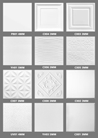 Paneles Decorativos para Techo, Revestimiento Acústico para Baño, Panel Falso de Plástico para Habitación, Dormitorio, PVC, 2x2, 4