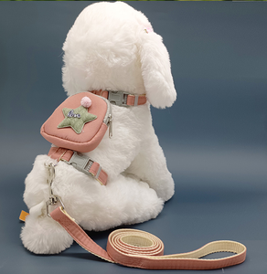 Haustier Leine und Har Hunde halsbänder Phantasie geflochtene Trainings leine - Product Image 1