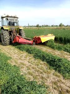 Faucheuse à double disque pour tracteur, machine de coupe rotative montée à l'arrière, coupe-herbe pour tracteur, lame résistante à l'usure, coupe de l'herbe des champs, des pelouses et des pâturages - Product Image 3