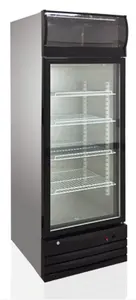 880L Factory Wholesale Cheap Double Door Glass Door Beverage Display Showcase Commercial Refrigerator