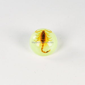 Especímen de Resina de Insecto, Taxidermia de Hormiga, Artesanía de Resina, Pin de Especímen Animal, Regalo de Halloween, Juguete de Resina Epoxi, <span class=keywords><strong>Insectos</strong></span> Taxidermizados - Product Image 4