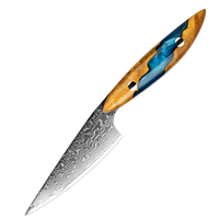 Hoogwaardig 67-laags Damascus staal VG10 kern 3,5 inch schilmesje multifunctioneel fruitmes voor keuken custom dropshipping