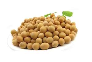 Poudre d'isoflavone <span class=keywords><strong>de</strong></span> <span class=keywords><strong>soja</strong></span> en vrac d'usine halal poudre d'extrait <span class=keywords><strong>de</strong></span> <span class=keywords><strong>soja</strong></span> - Product Image 3