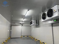 Chambre froide sur mesure pour conserver les fruits / légumes / boissons / transport frais