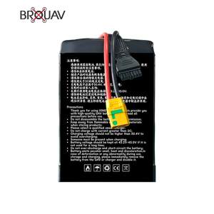 16Ah12S estado sólido 44,4 V 16000mAh 270wh/kg bolsa de iones de litio UAV batería para viento fijo Vtol Multirotor - Product Image 6