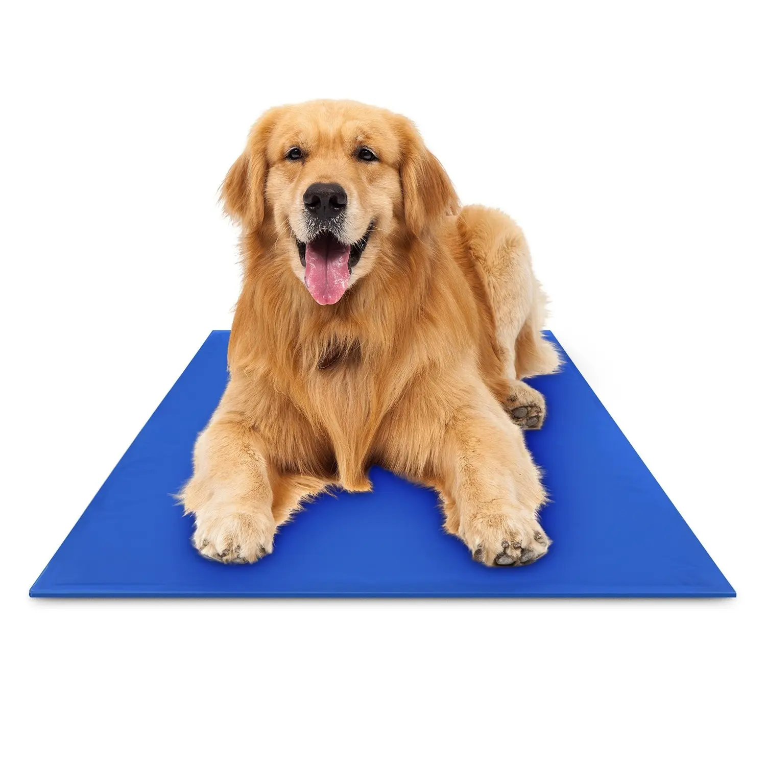Vários tamanhos disponíveis colchão Pet Ice Pad auto arrefecimento Mat para cães