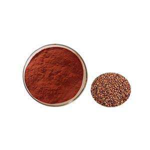 Ekstrak biji anggur standar makanan ekstrak biji anggur bubuk 95% biji anggur OPC 10:1 - Product Image 3