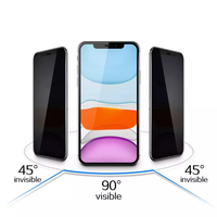 Protecteur d'écran Anti-espion en verre trempé pour iPhone, pour confidentialité, haute qualité, pour modèles 14/14 Pro/14 Pro Max/13/12/11/7/8 Plus/Xs Max