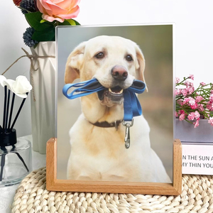 <span class=keywords><strong>2025</strong></span> phong cách mới tùy chỉnh con chó cưng bằng gỗ cơ sở khung ảnh U hình dạng vật nuôi khung ảnh dạng thấu kính ảnh óc chó khung lưới trang trí - Product Image 1