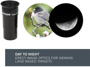 <span class=keywords><strong>Celestron</strong></span>-AtroMaster 130EQ Télescope Newtonien-Télescope à réflecteur pour débutants Télescope astronomique 130 - Product Image 6
