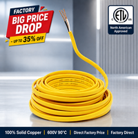 Fil NM-B 12/3 10/3 8/3 6/3 AWG 600V avec mise à la terre, fil électrique en cuivre pour intérieur, gaine non métallique en cuivre pour rénovation