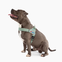 Harnais pour chien personnalisé en vert olive, facile à enfiler, avec sangles réfléchissantes, harnais réglable pour petites et moyennes races.