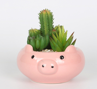 Vente en gros de pots de fleurs d'animaux succulents de dessin animé en porcelaine émaillée pour la décoration de la maison et du jardin