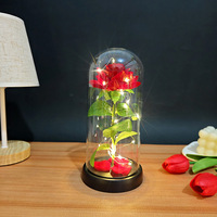 Décoration Lumineuse en Verre Rose Simulée, Fleur Éternelle pour Anniversaire, Cadeau de Tanabata, Saint-Valentin, Fête des Mères, Créatif, Transfrontalier