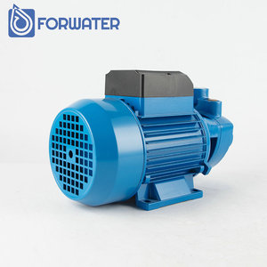 Pompes monophasées en alliage PPO Qb périphériques 5hp 1hp Qb60 220v 0.5hp Pompe électrique haute pression Bomba 1/2 <span class=keywords><strong>hp</strong></span> Pompe à eau propre - Product Image 4