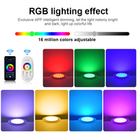 Lampes LED pour piscine sans fil personnalisées, 12V, IP68, étanches, 18 touches, changement de couleur, commande par application