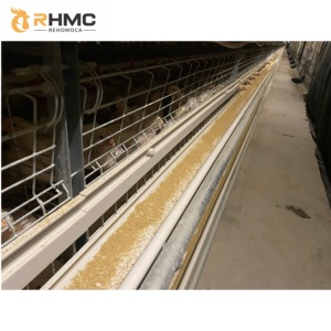 RHMC Factory Agricultural Equipment <strong>Design</strong> <strong>Broiler</strong> Chicken <strong>Cages</strong> Bird <strong>Broiler</strong> Poultry Farm <strong>Cage</strong> - Product Image 4