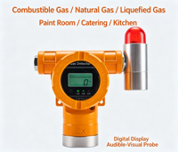 Détecteur de gaz à combustion catalytique pour station-service, restaurant, détection de fuite de GPL et de gaz naturel avec protection IP65