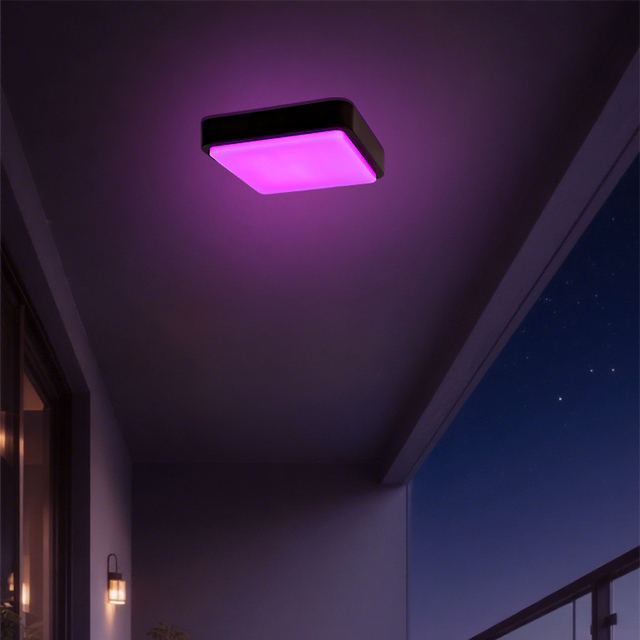 20W Smart Wifi Ceiling Light APP Control Dimmable RGB Color Changing Wall Light Black Indoor/outdoor IP65 Porch Light