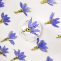 Fleur de gentiane séchée pressée, fleur naturelle réelle pour artisanat fait main, décoration en résine époxy