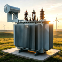 Transformateur de distribution triphasé immergé dans l'huile CE EAC ISO UL S11 30KVA 50/60Hz 6.3kV 10kV