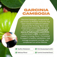 Suplemento de Extracto Herbal de Garcinia Cambogia en Gotas Líquidas de 1000mg, Certificado GMP, Marca Privada OEM, para Mejorar el Metabolismo y la Energía