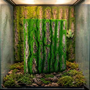 Panneau mural rectangulaire en écorce naturelle pour terrarium, simulation de mousse, pour reptiles et amphibiens, vente en gros - Product Image 1