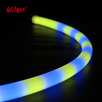 Néon fête décor Rgbic Led bande lumière extérieure étanche néon Led bande 360 degrés rvb Pixel lumière néon rond Flex Tube lumière