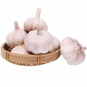 fresh Non-peeled white garlic with GLOBAL GAP from China 5 cm Organic Cultivation normal white/purple/red /Natural White Garlic