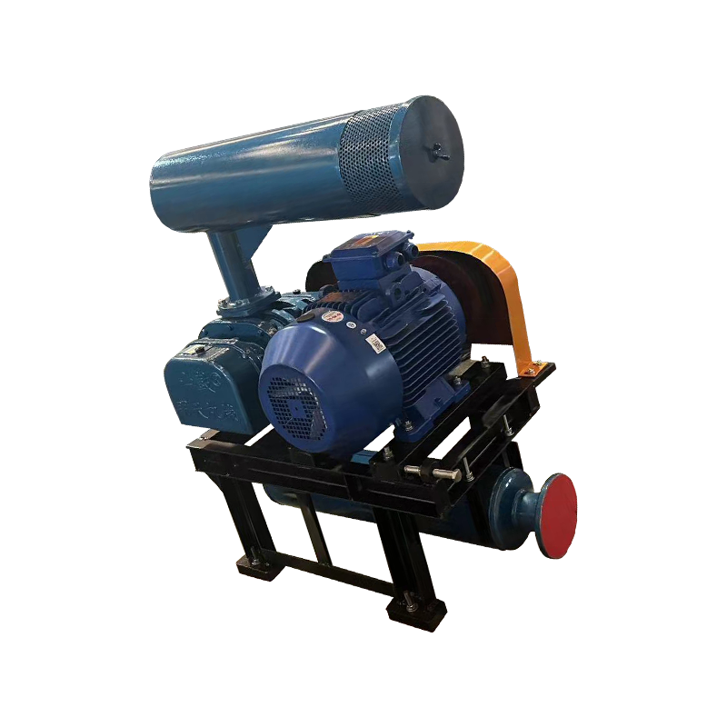 Sewage Treatment Roots Air Blowers RSR