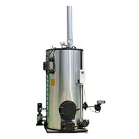 Tungku Uap Vertikal Industri Sirkulasi Alami Pipa Api Tekanan Rendah Otomatis 100-2000kg Biomassa Kayu Jerami Baja Karbon Uap Tinggi
