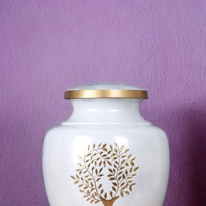 Sofisticada urna de metal para cenizas Contenedor de cremación seguro de calidad excepcional para servicios conmemorativos en el hogar Suministros funerarios - Product Image 2